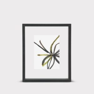 cadre-flottant-M-noir-urban-nature-culture-01