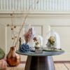 idamarie-dome-en-verre