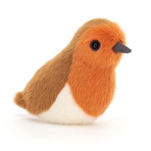 oiseau-rouge-gorge-robin