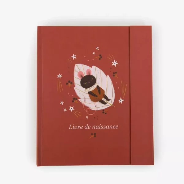 livre-de-naissance-apres-la-pluie-moulin-roty
