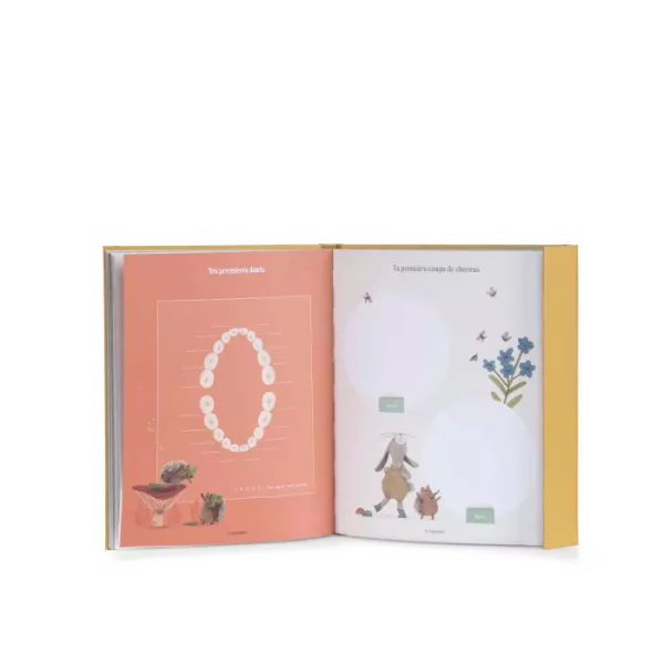 livre-de-naissance-trois-petits-lapins-80-pages-moulin-roty_OA