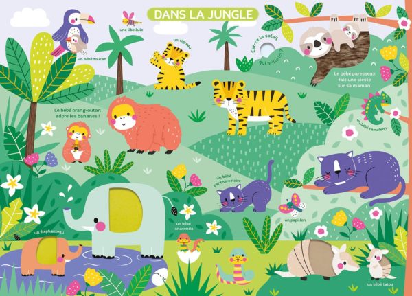 MON-TRÈS-GRAND-LIVRE-DÉVEIL