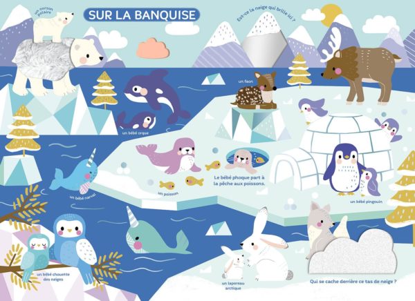 MON-TRÈS-GRAND-LIVRE-DÉVEIL