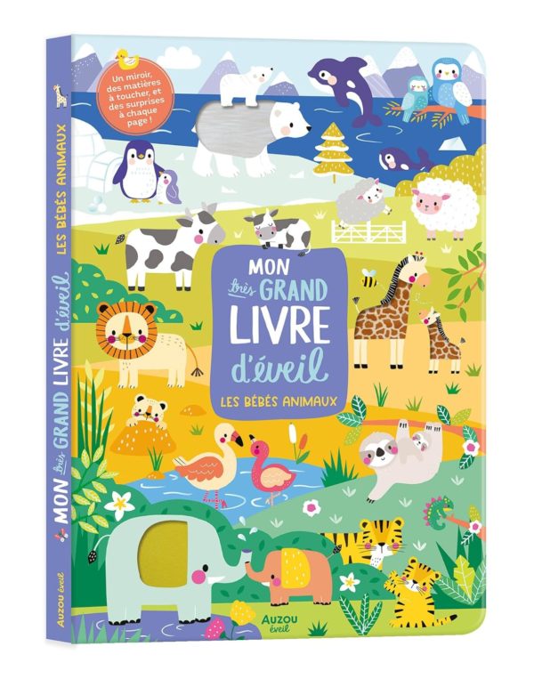 MON-TRÈS-GRAND-LIVRE-DÉVEIL