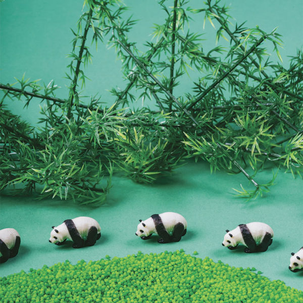 petit-boum-bouteille-sensorielle-sound-panda