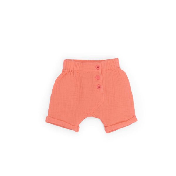 Short-corail-louis-moulin-roty