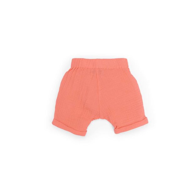 Short-corail-louis-moulin-roty