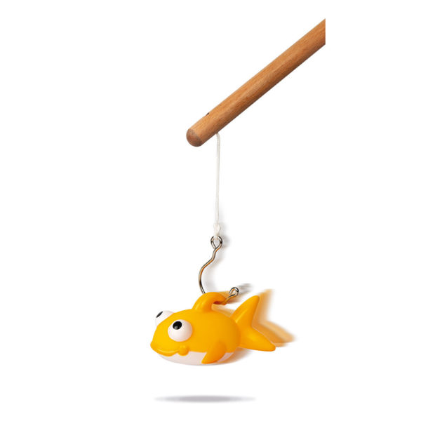 jeu-de-peche-a-la-ligne-janod
