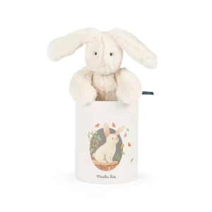 poupee-lapin-louison-en-boite-arthur-et-louison-moulin-roty