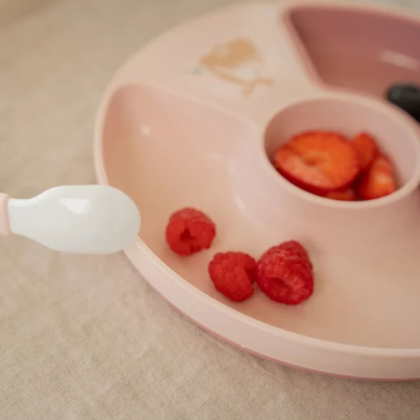assiette-compartiments-fairy-garden-little-dutch
