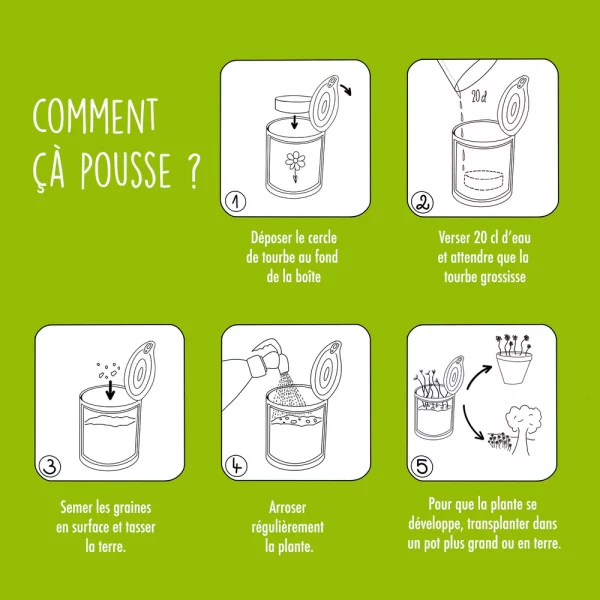 Kit à semer "Merci Maîtresse" – Image 4