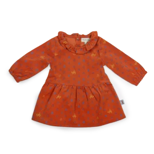 robe-velours-imprime-inde-manon-moulin-roty