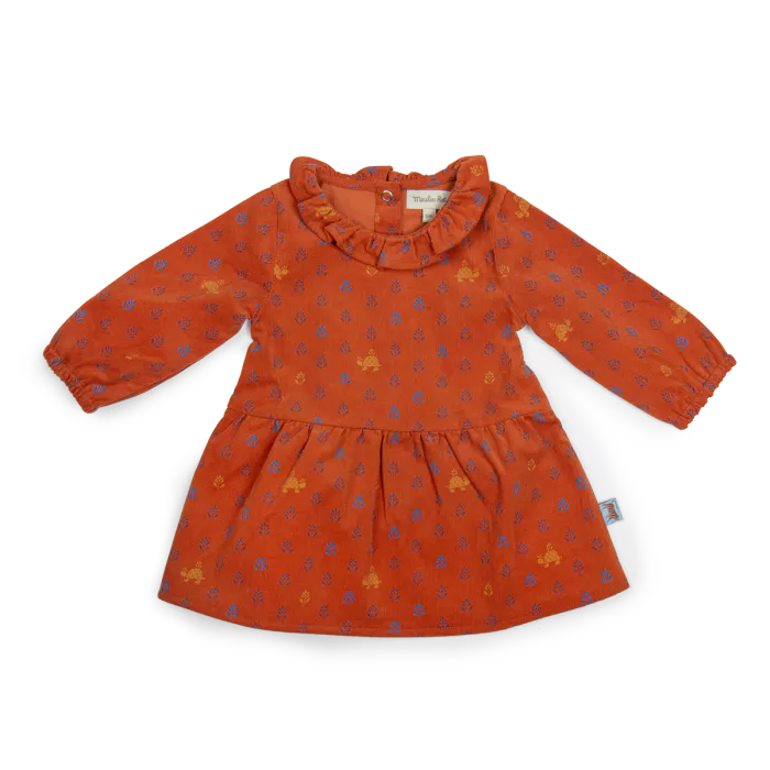 robe-velours-imprime-inde-manon-moulin-roty