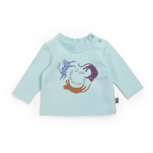 tee-shirt-jersey-bleu-malo-moulin-roty