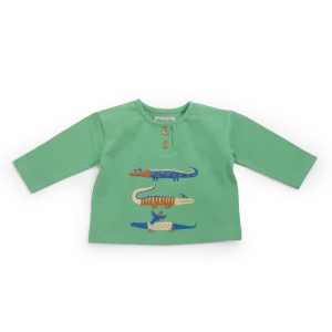 tee-shirt-jersey-flamme-vert-mathis-moulin-roty