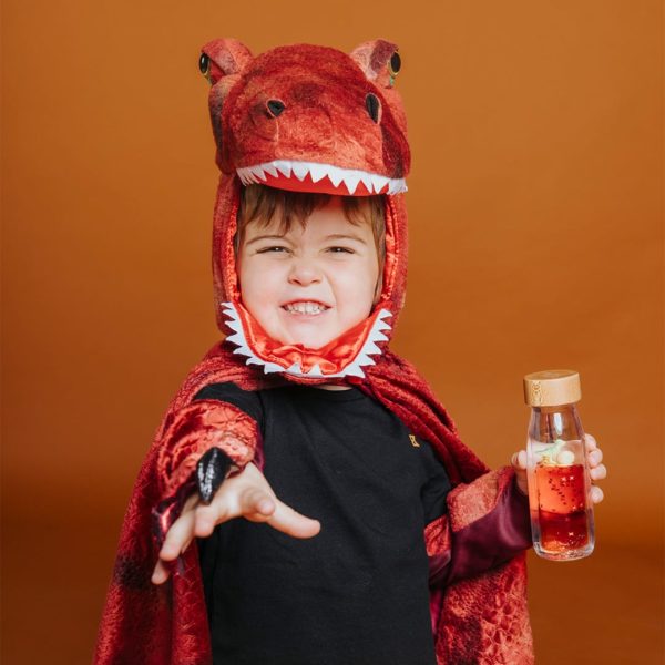 bouteille-Move-TRex-petit-boum
