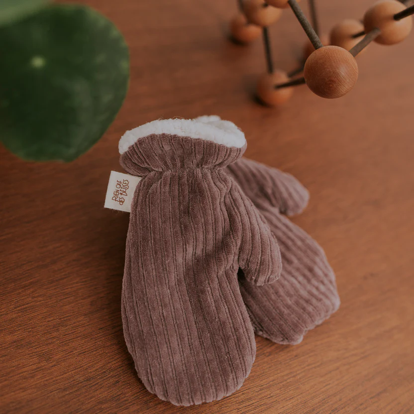 moufles-velours-parme-rien-que-des-betises