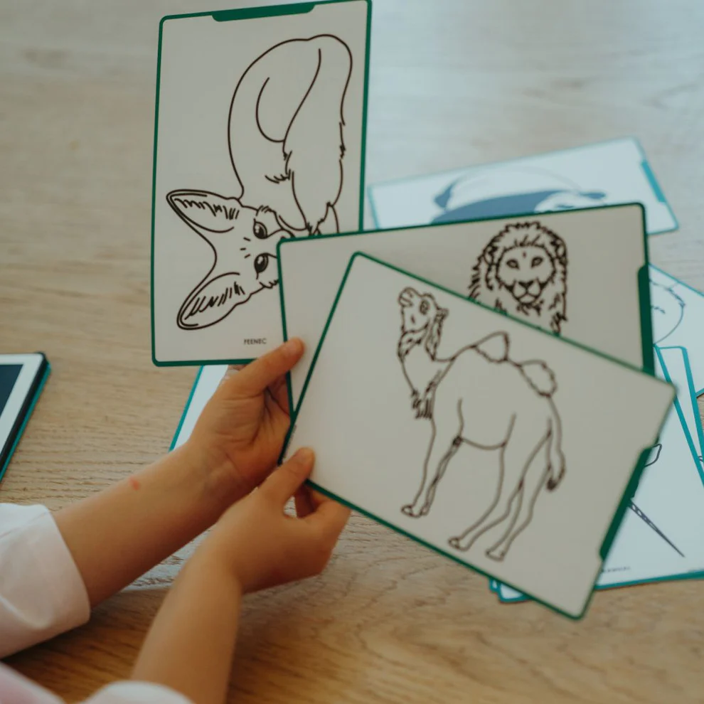 dessins-autour-du-monde-ocean-pirates-kidydraw-kidywolf