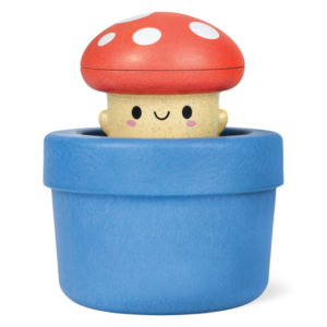 Pop-up-champignon-tiger-tribe
