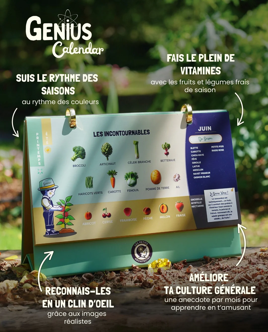 genius-calendrier-fruits-legumes-de-saison