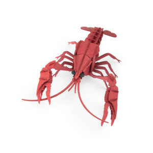 Puzzle-3D-ecrevisse-Tout-autour-du-monde-moulin-roty