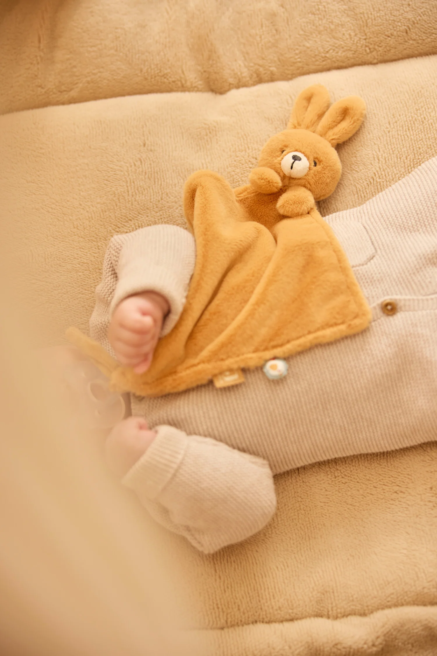 attache-sucette-jollies-bunny-jollein