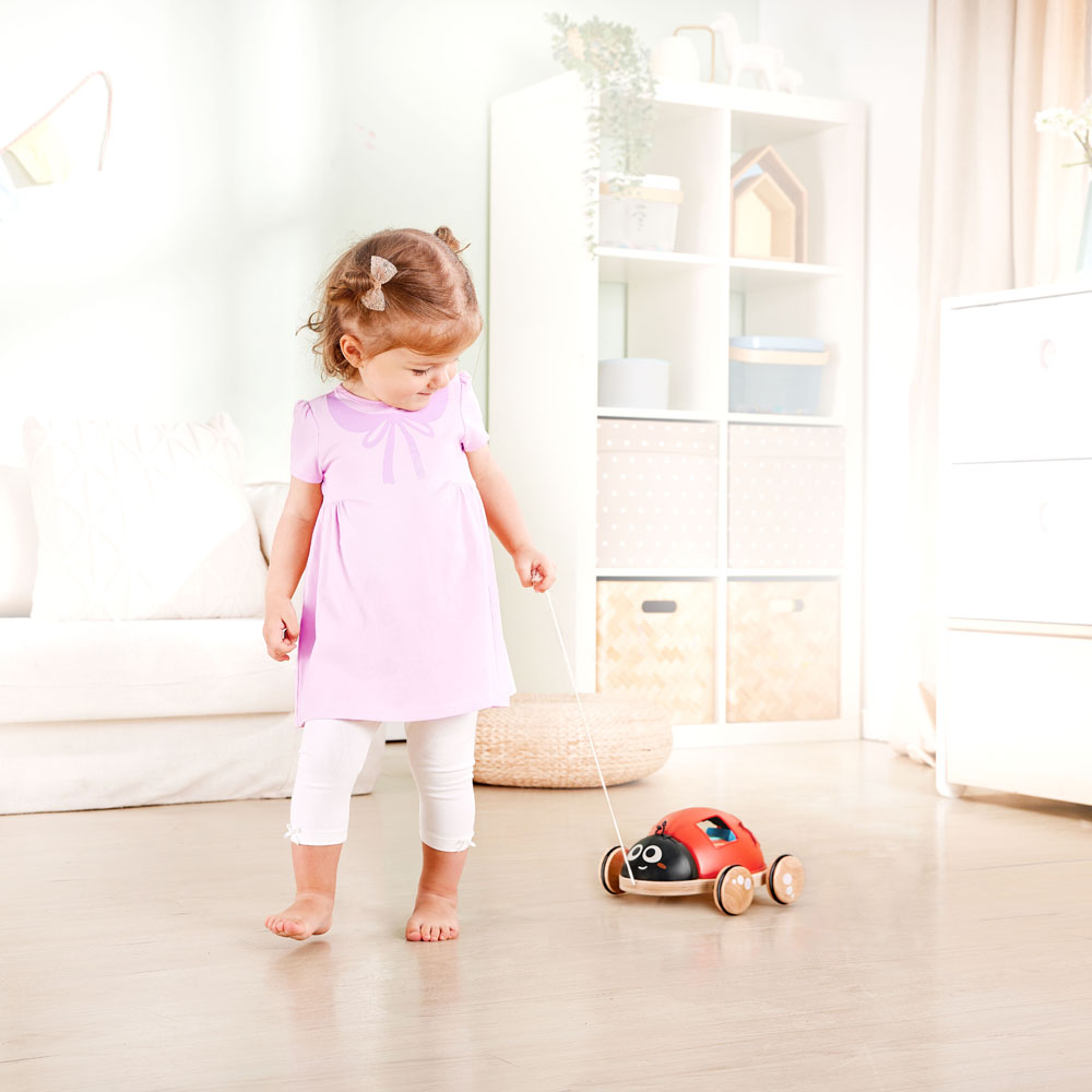 hape-coccinelle-a-tirer-trieuse-de-formes