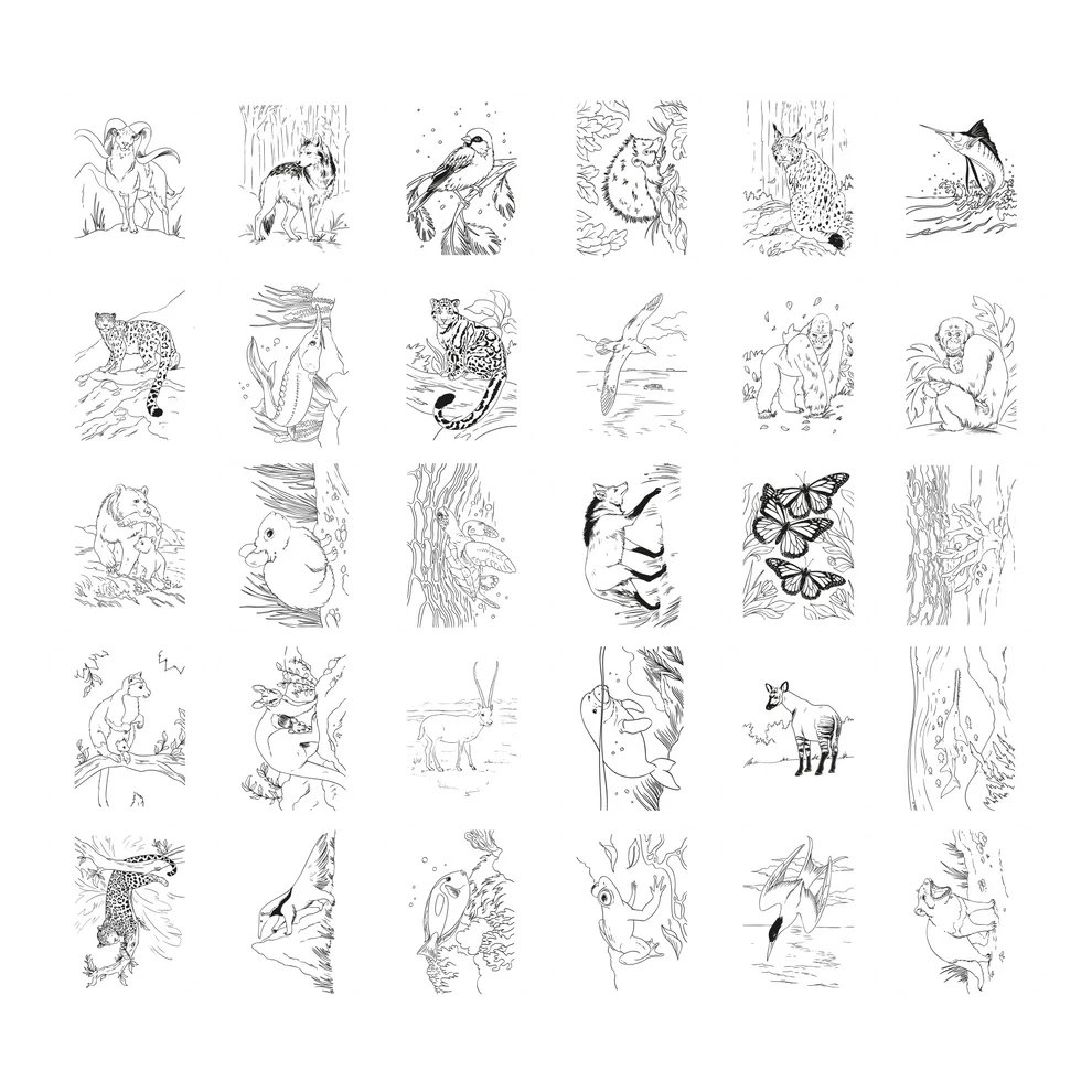 k-draw-pad-tablette-a-dessin-lumineuse-animaux-kidywolf